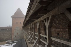 Białoruś - Lida, Zamek