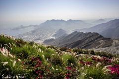 Al Suhub Rest Area