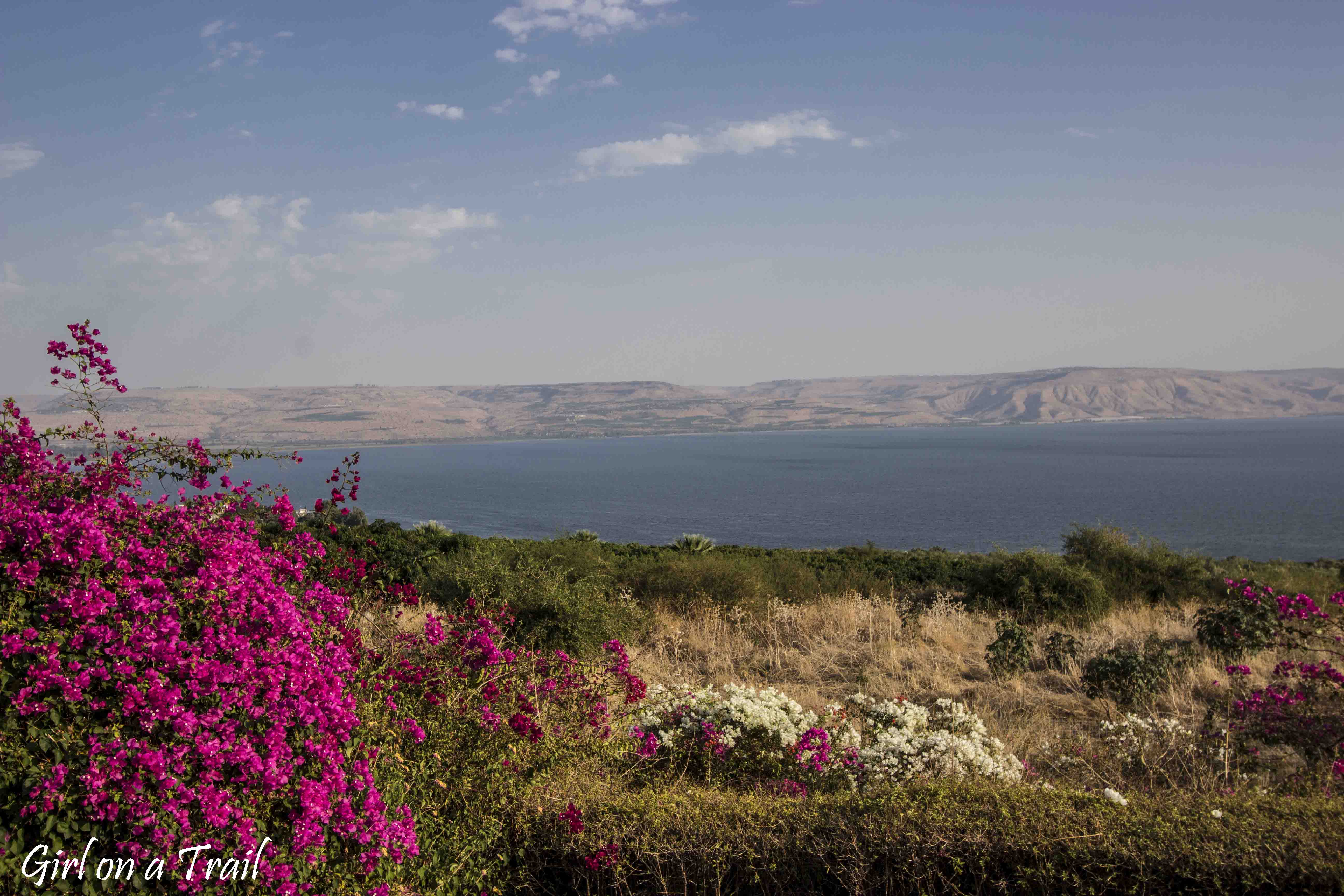 Jezioro Galilejskie - Góra Błogosławieństw