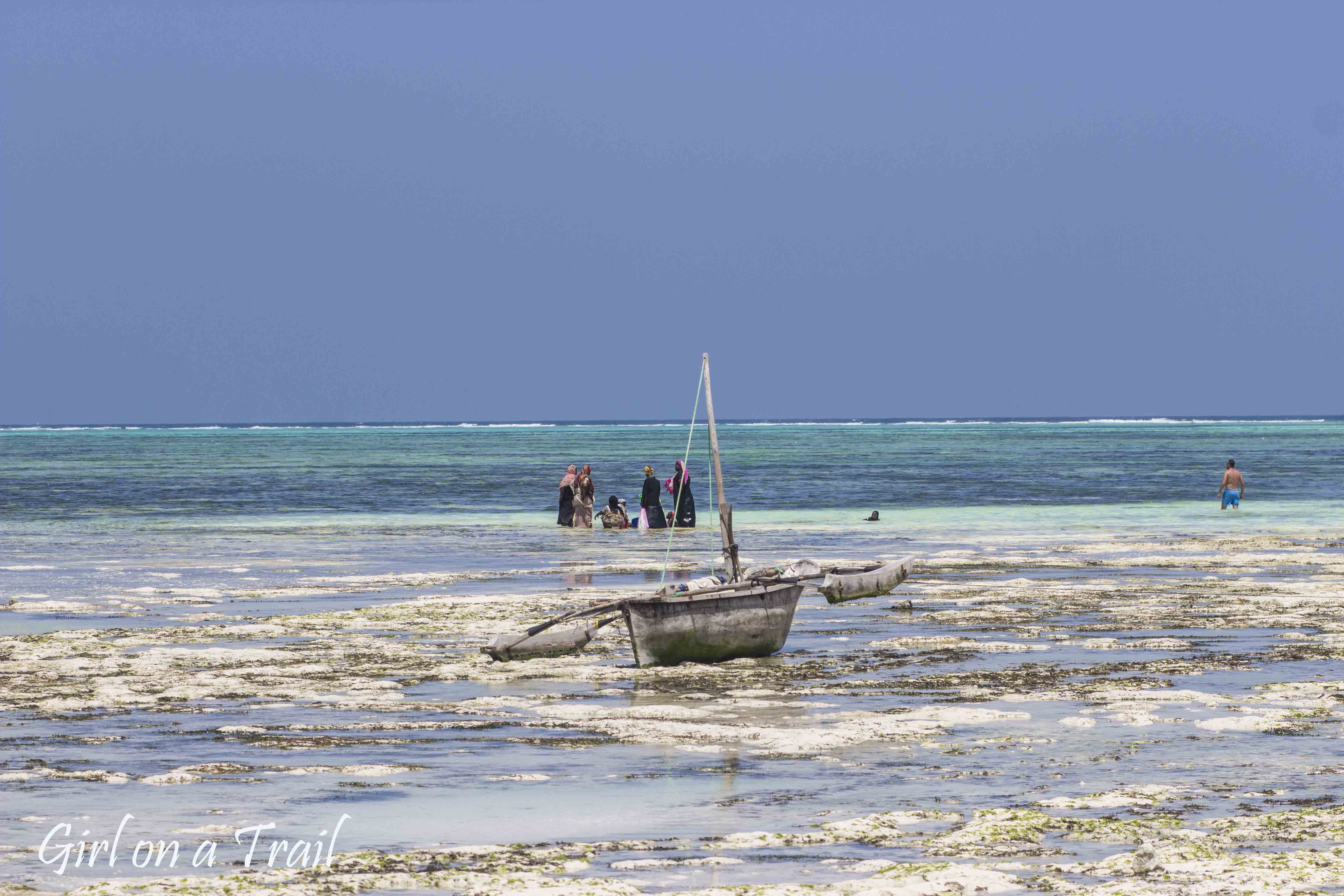 Tanzania, Zanzibar