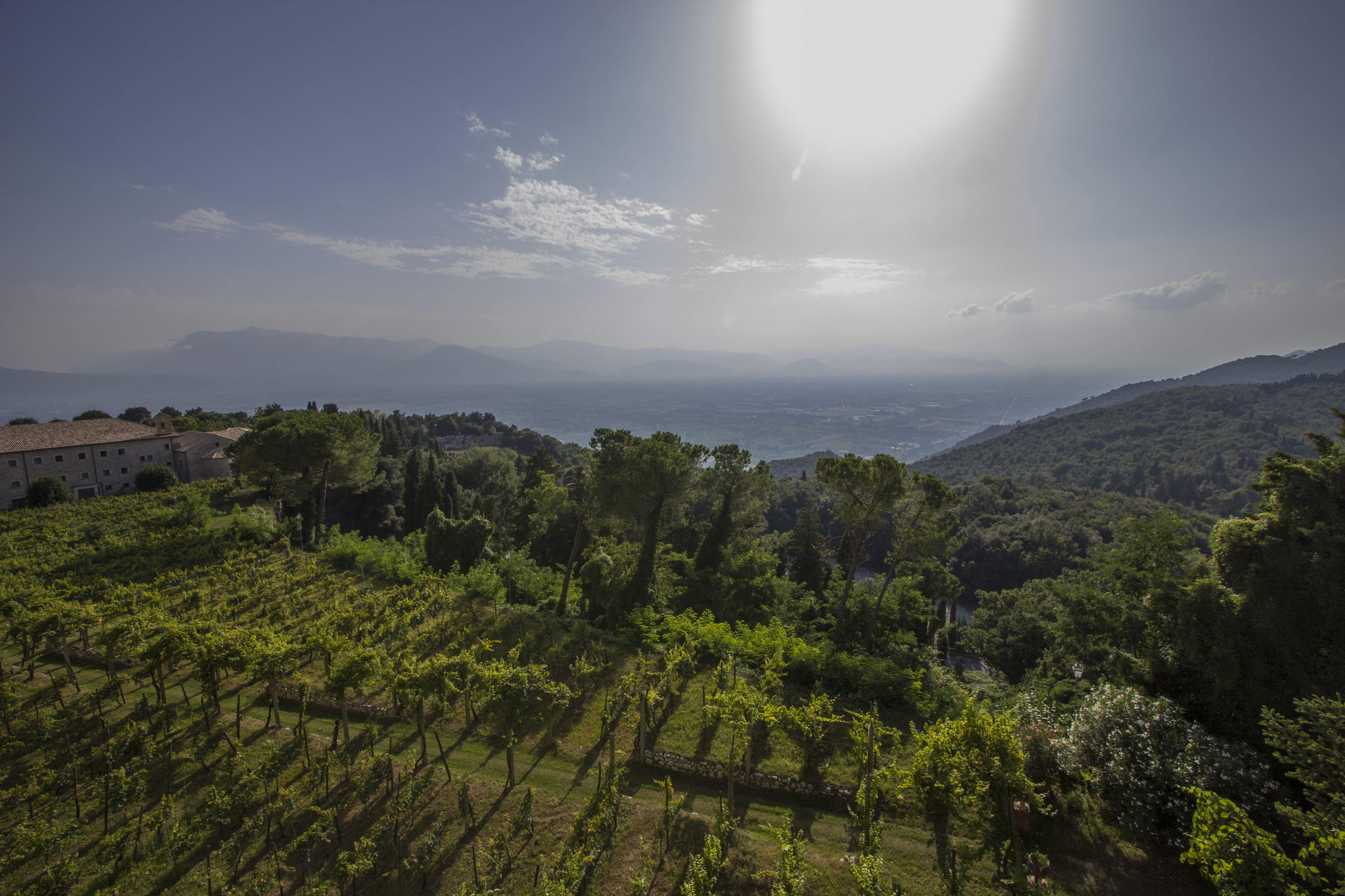 Monte Cassino – Passer-by, go tell Poland…