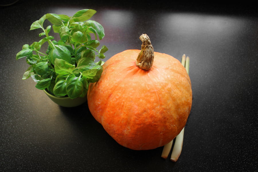 Thai pumpkin in a coconut