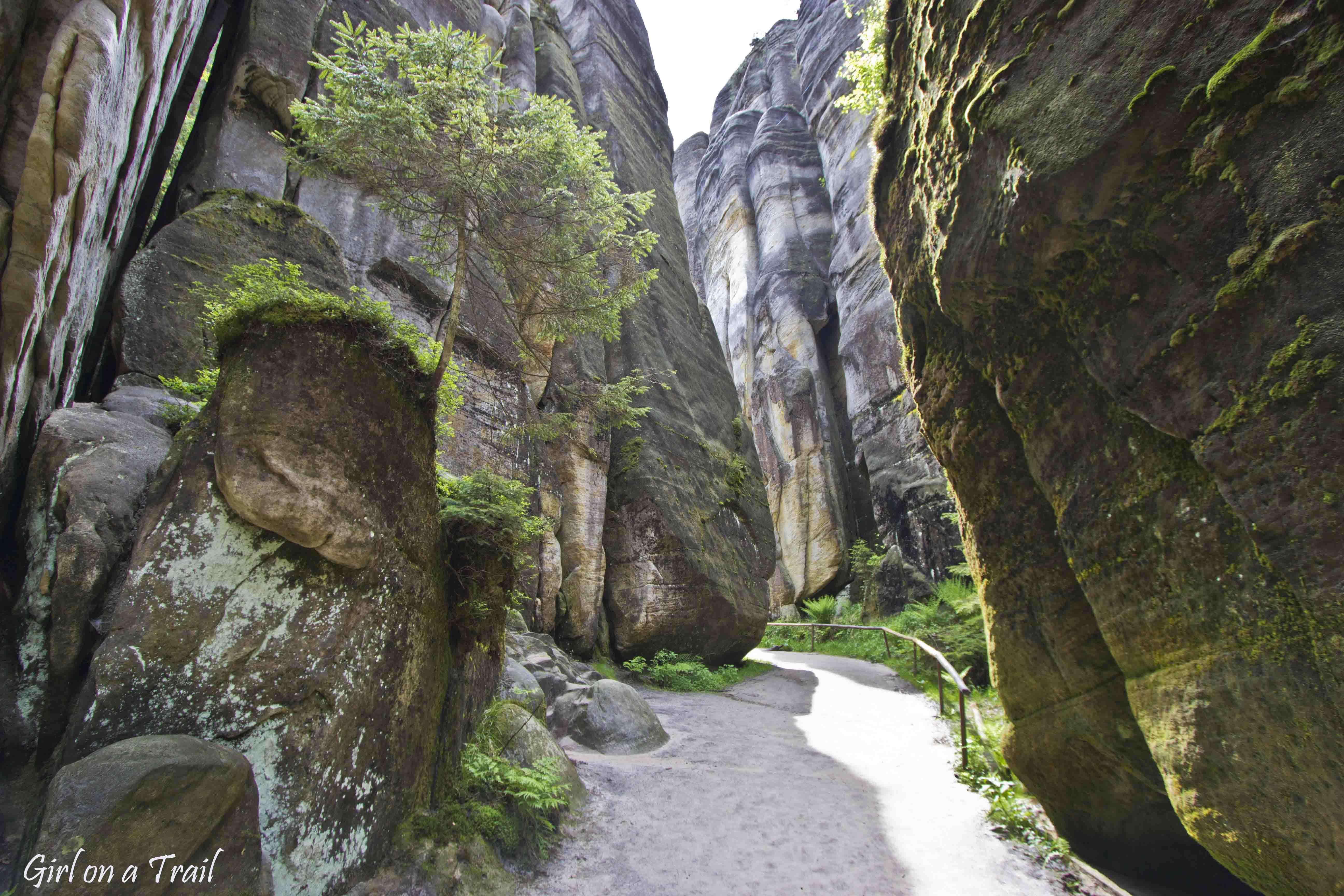 Czech Republic – Adrspach and Teplice Rocks