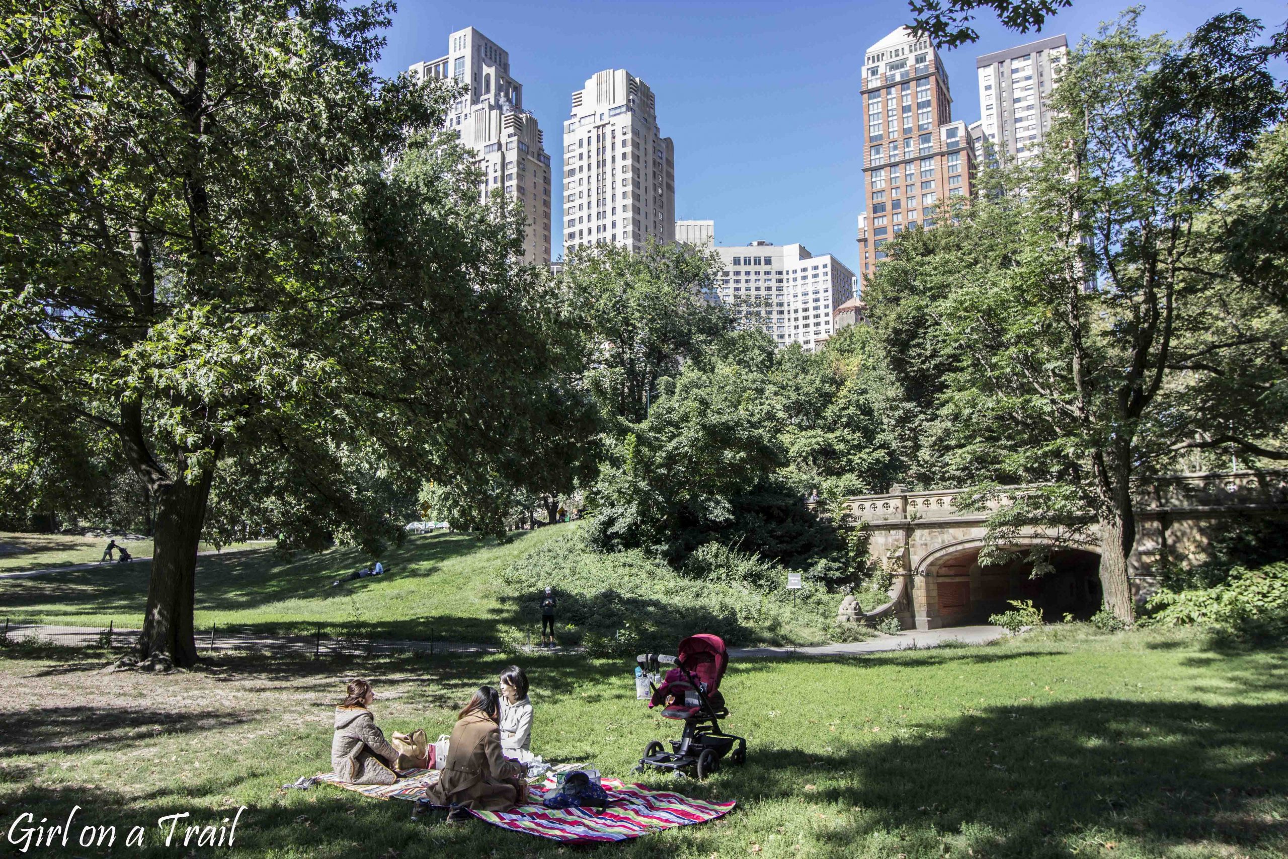 Central Park, New York – surprising discovery