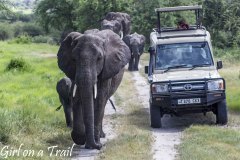 Tanzania-Park Tarangire 