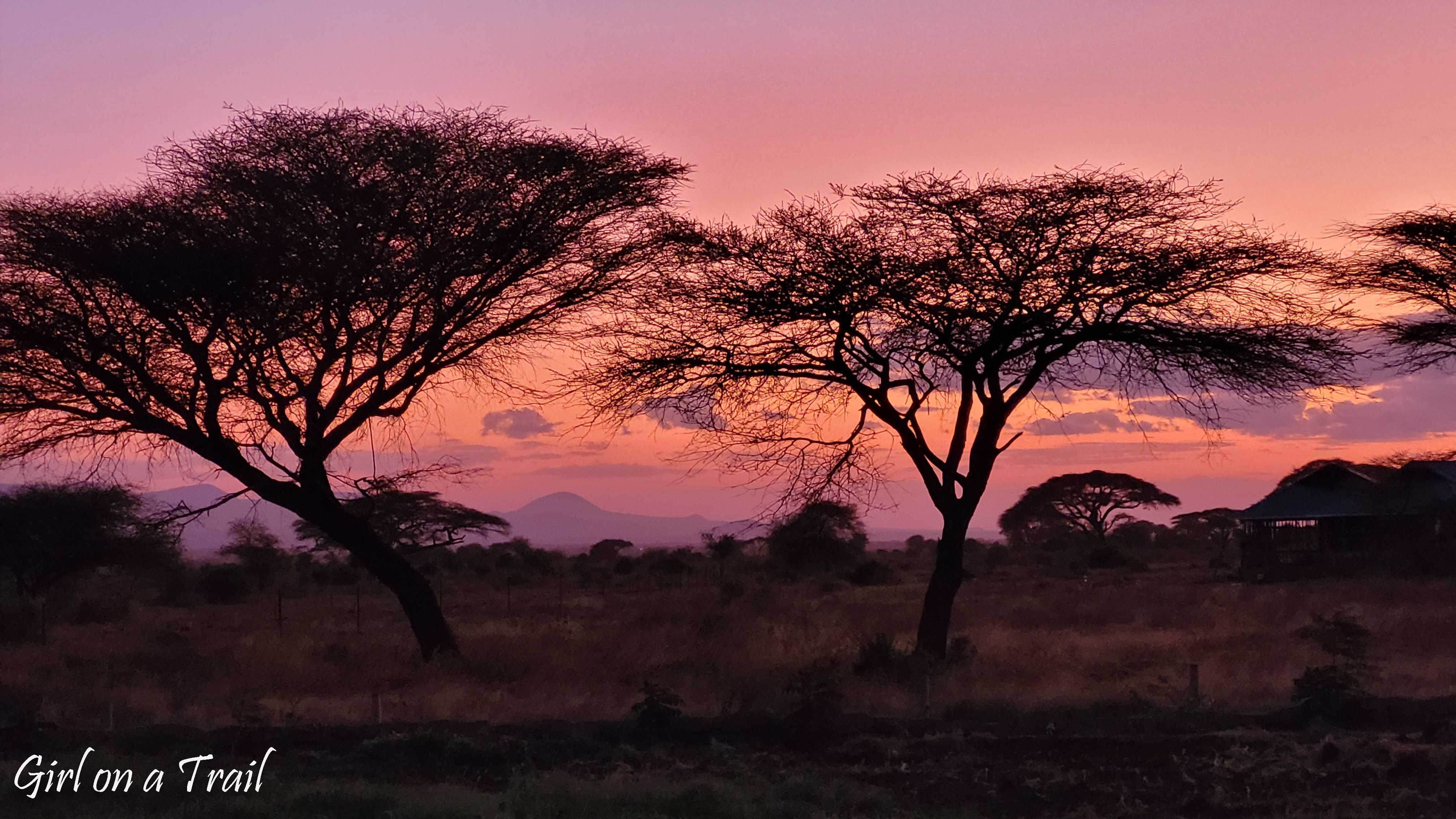 Kenia/Kenya - Amboseli 