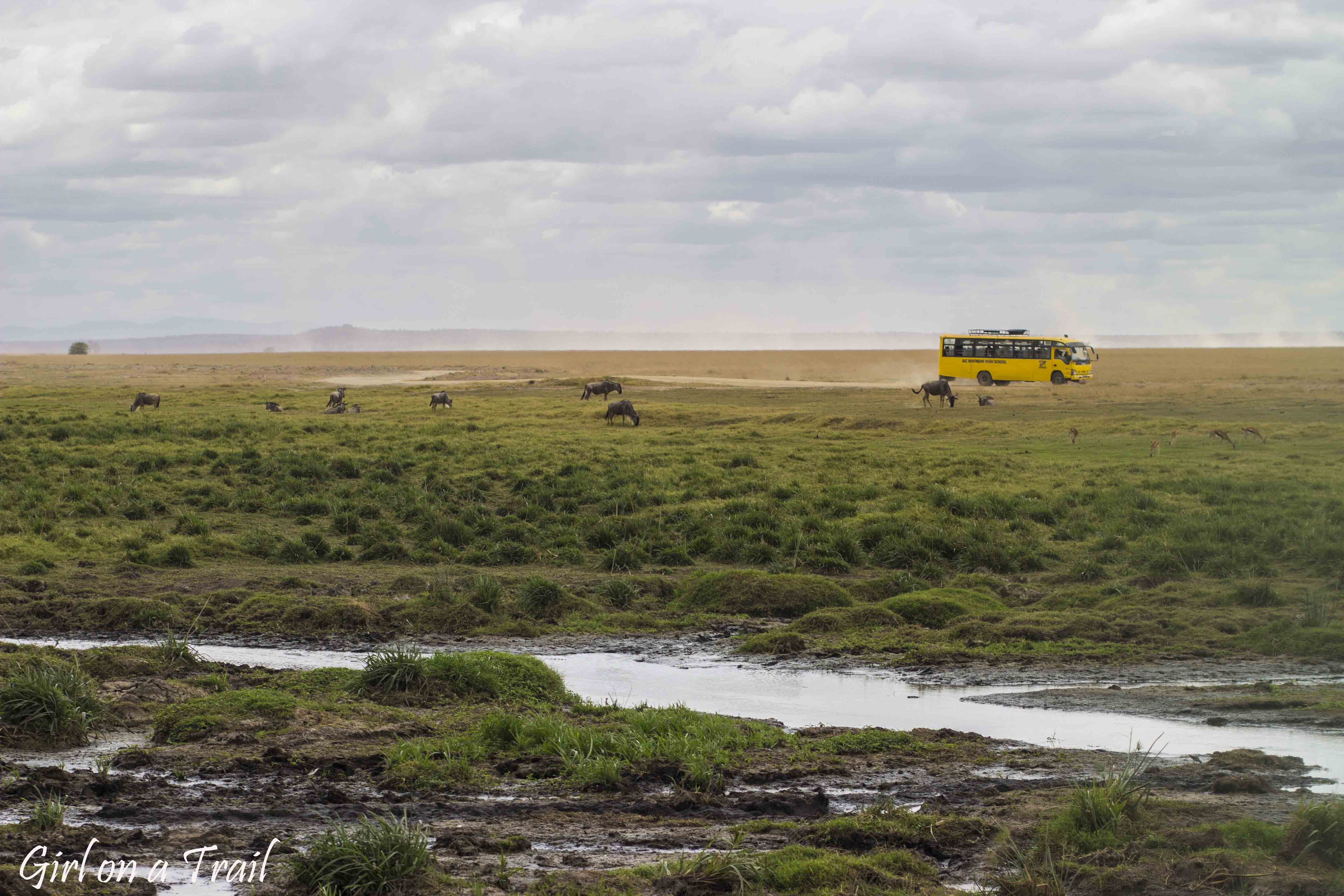 Kenia/Kenya - Amboseli