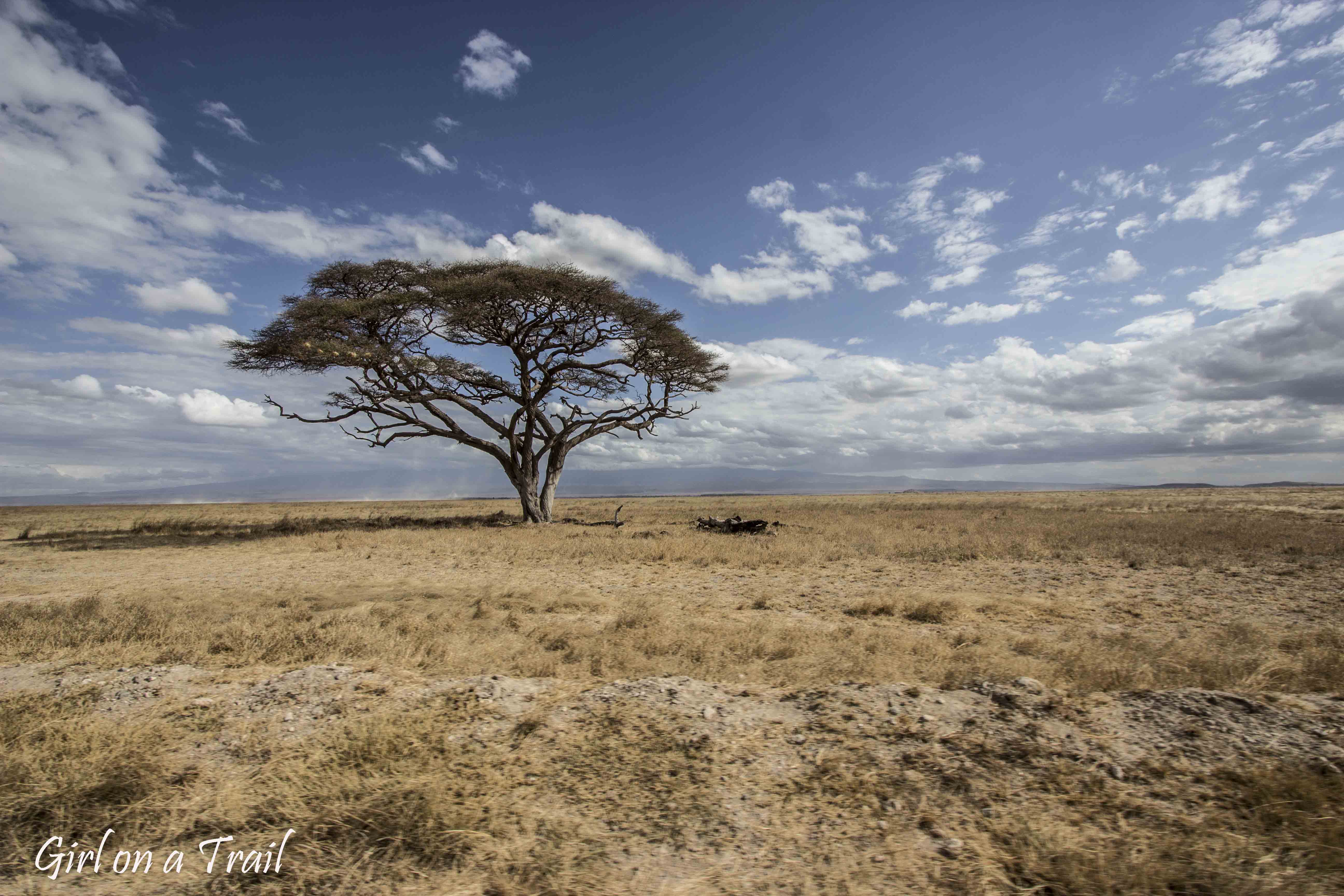 Kenia/Kenya - Amboseli