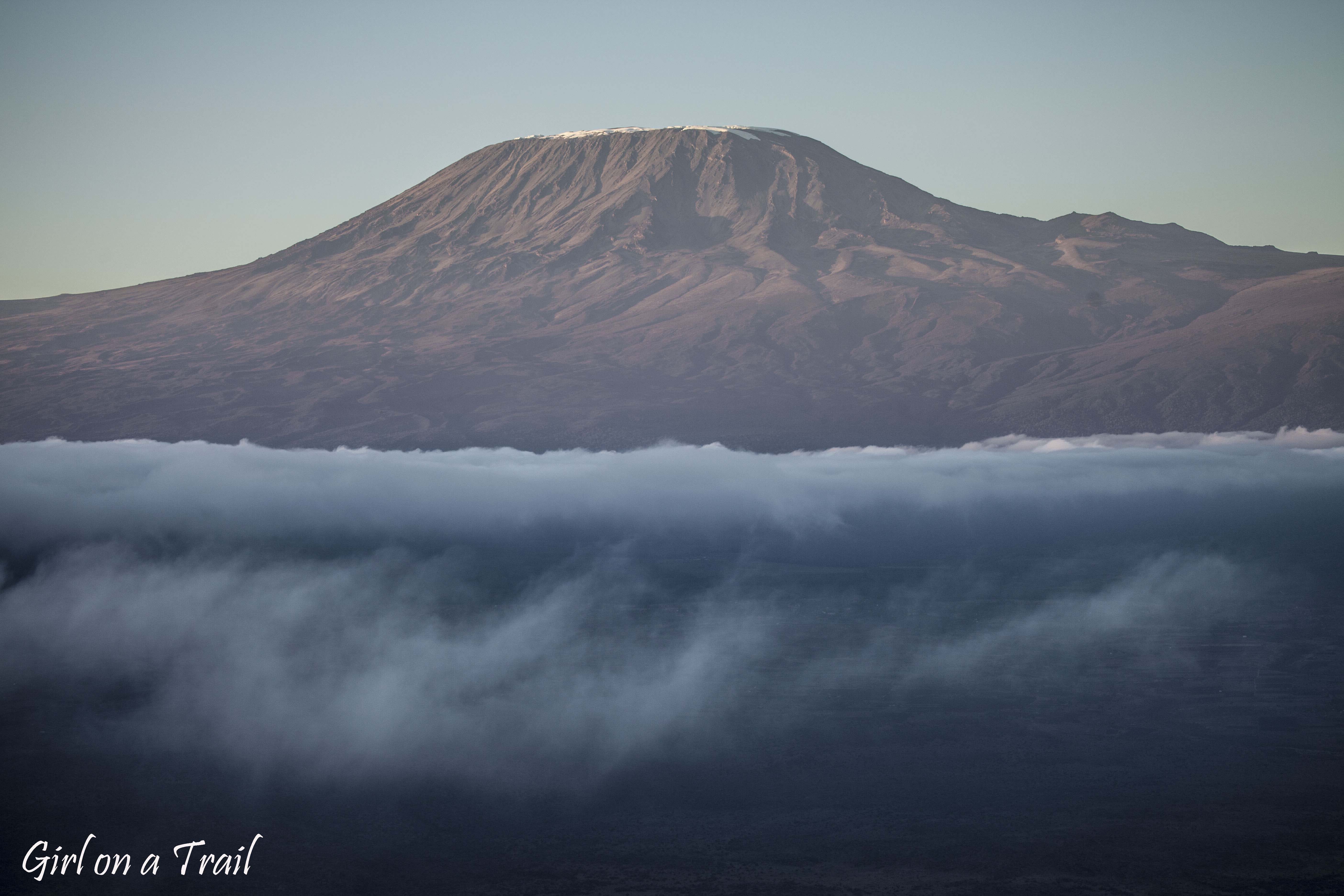 Kenia/Kenya - Amboseli, Kilimandżaro 