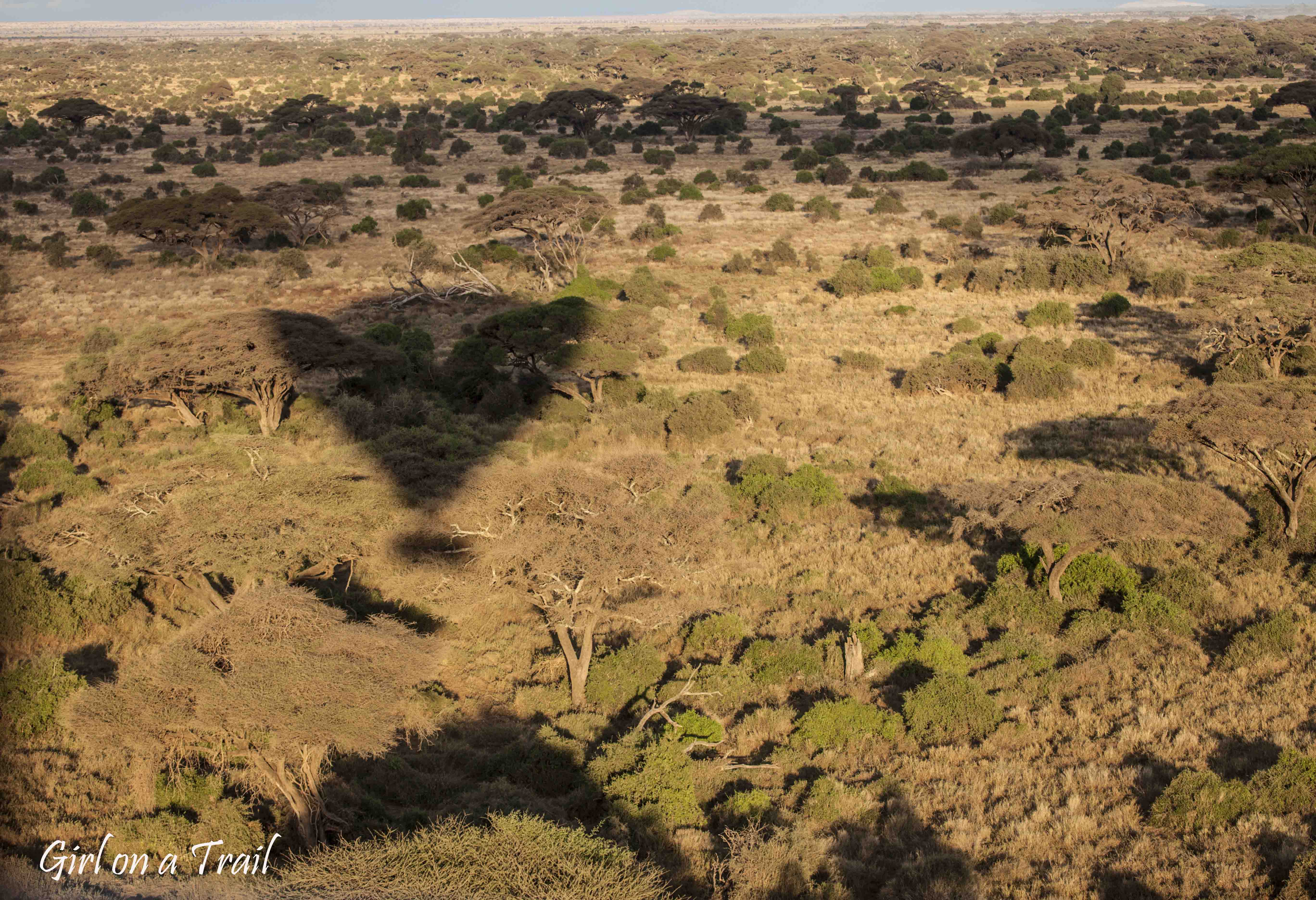 Kenia/Kenya - Amboseli 