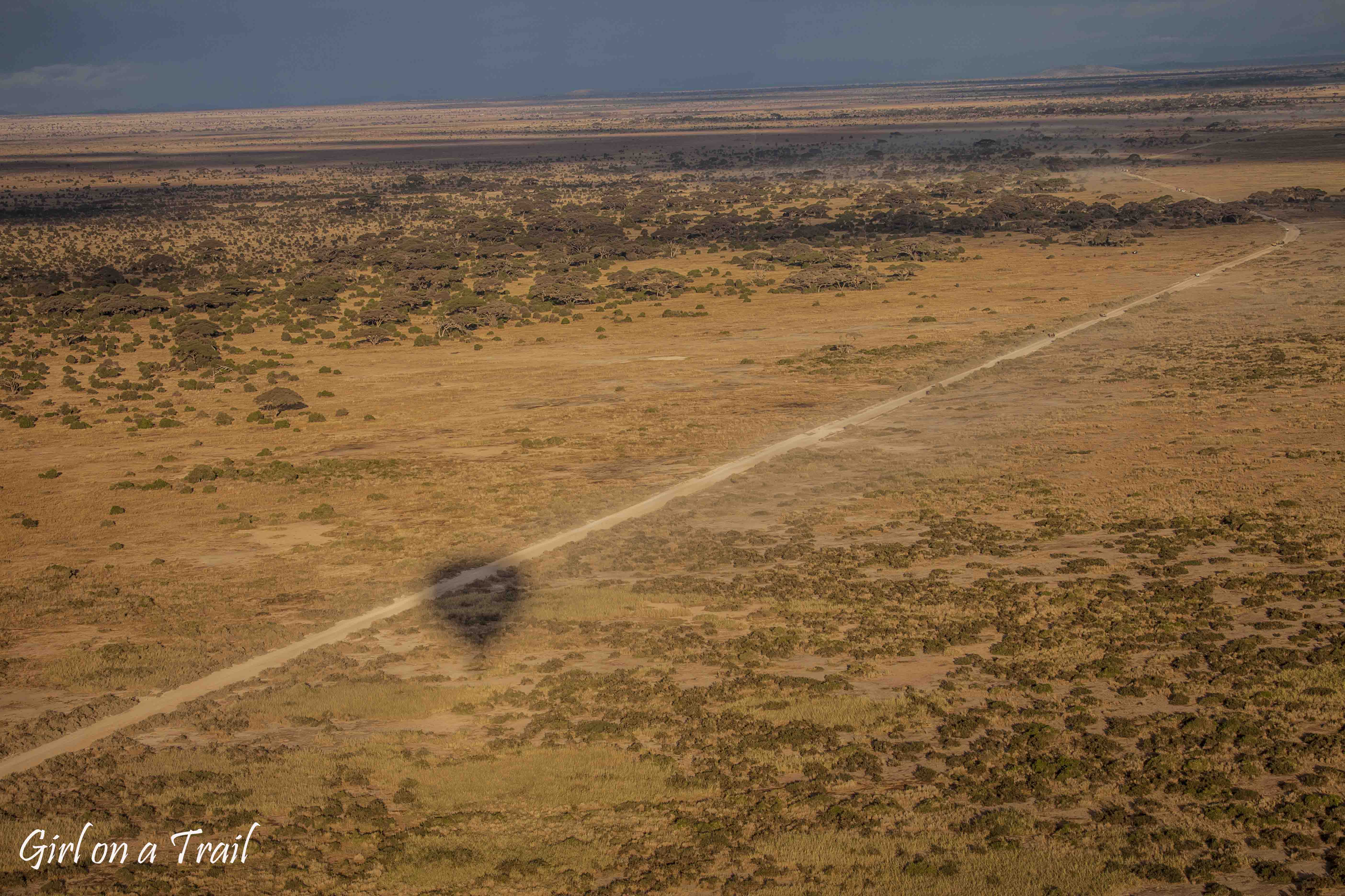 Kenia/Kenya - Amboseli 