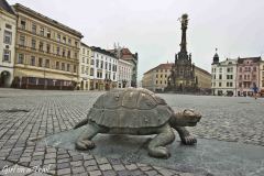 Czechy - Ołomuniec