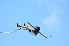 bungee