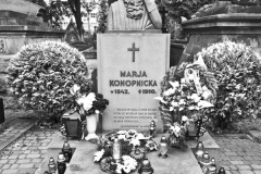 Lwów - Cmentarz Łyczakowski