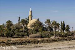 Cyprus Mosque