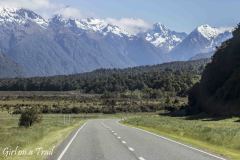 NZ-2025.11.726
