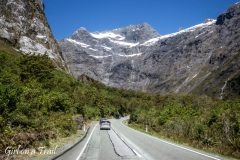 NZ-2025.11.816