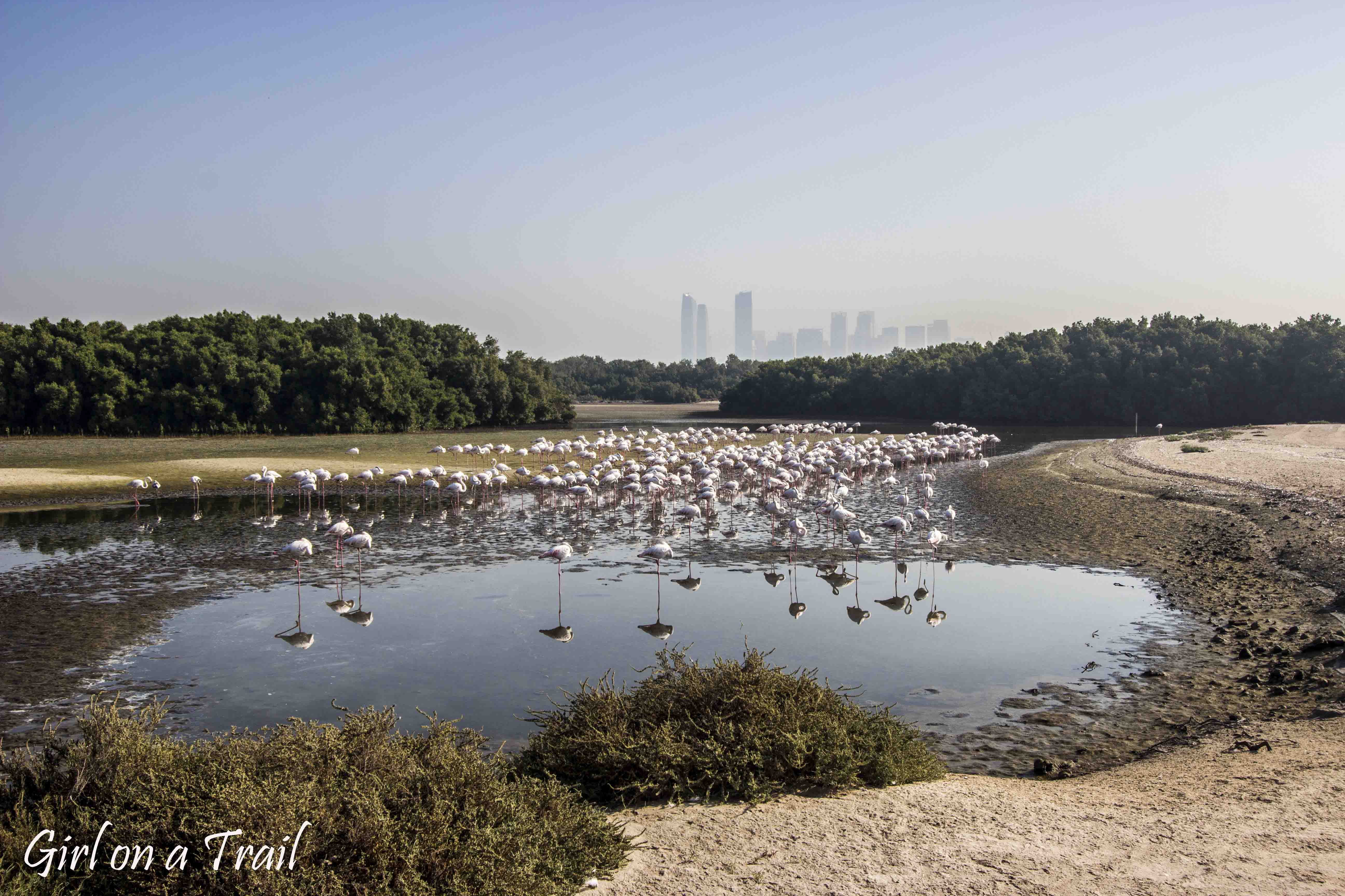 Ras Al Khor Wildlife Sanctuary