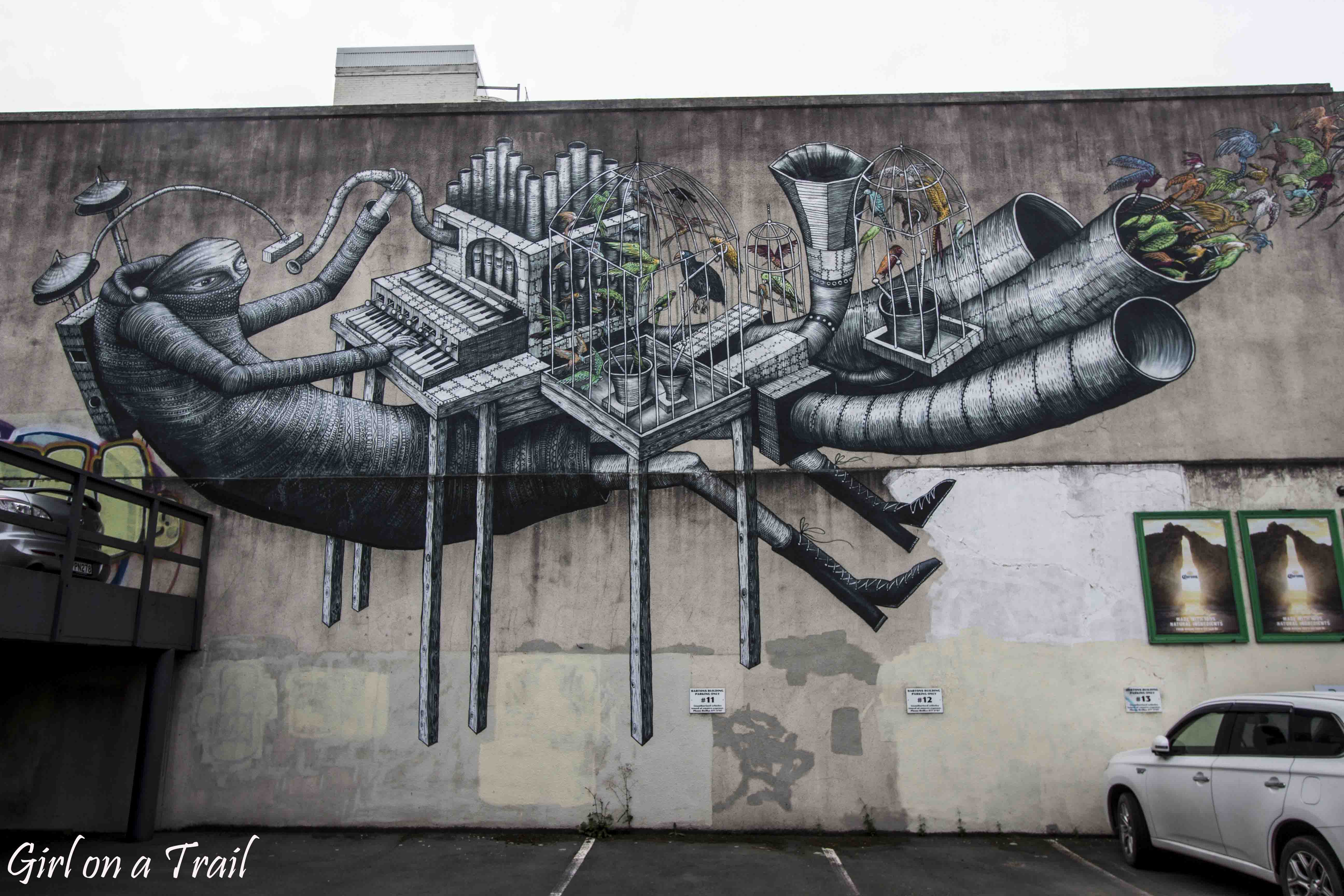 NZ-2025.11.881