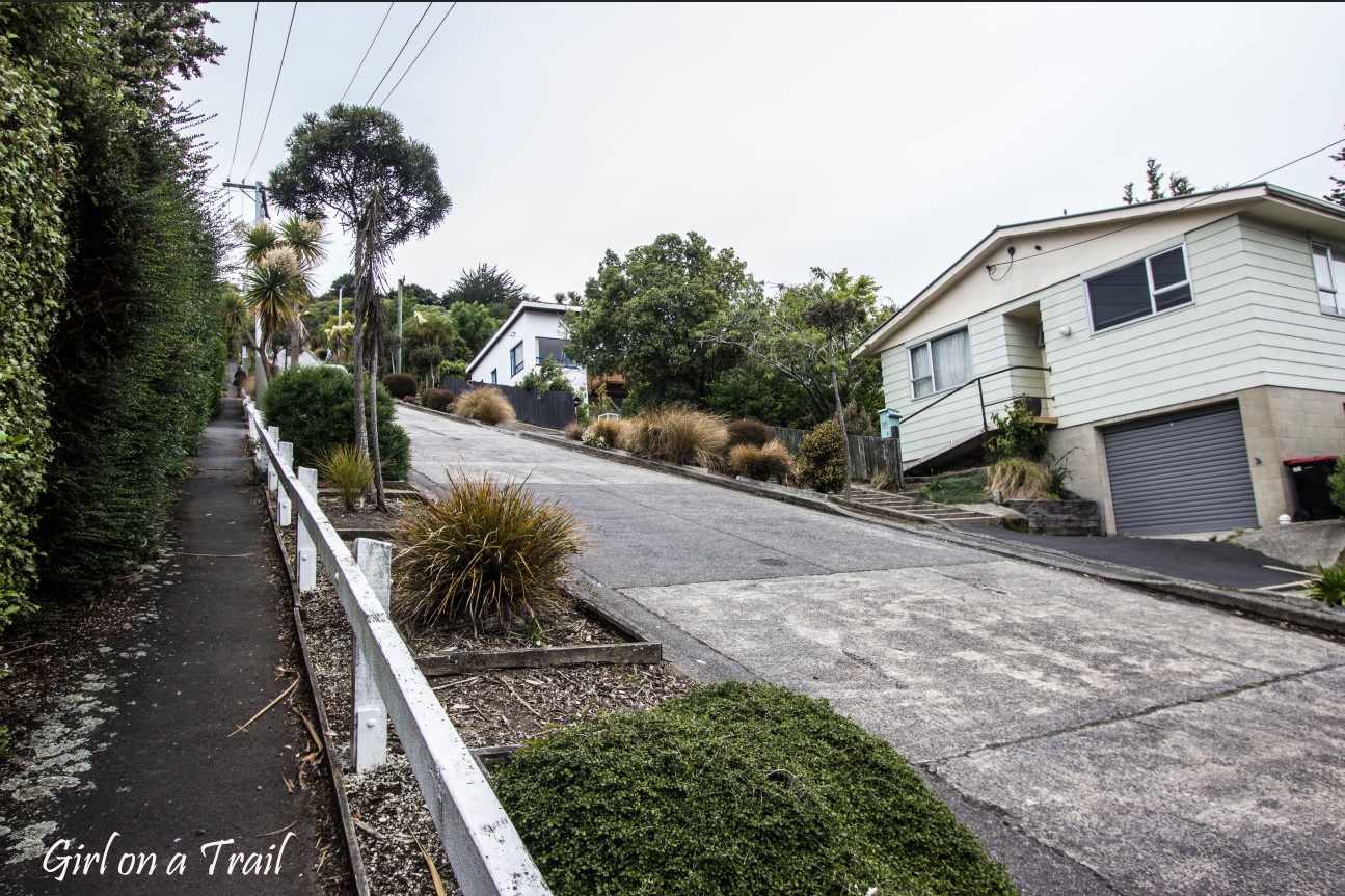 NZ-2025.11.887