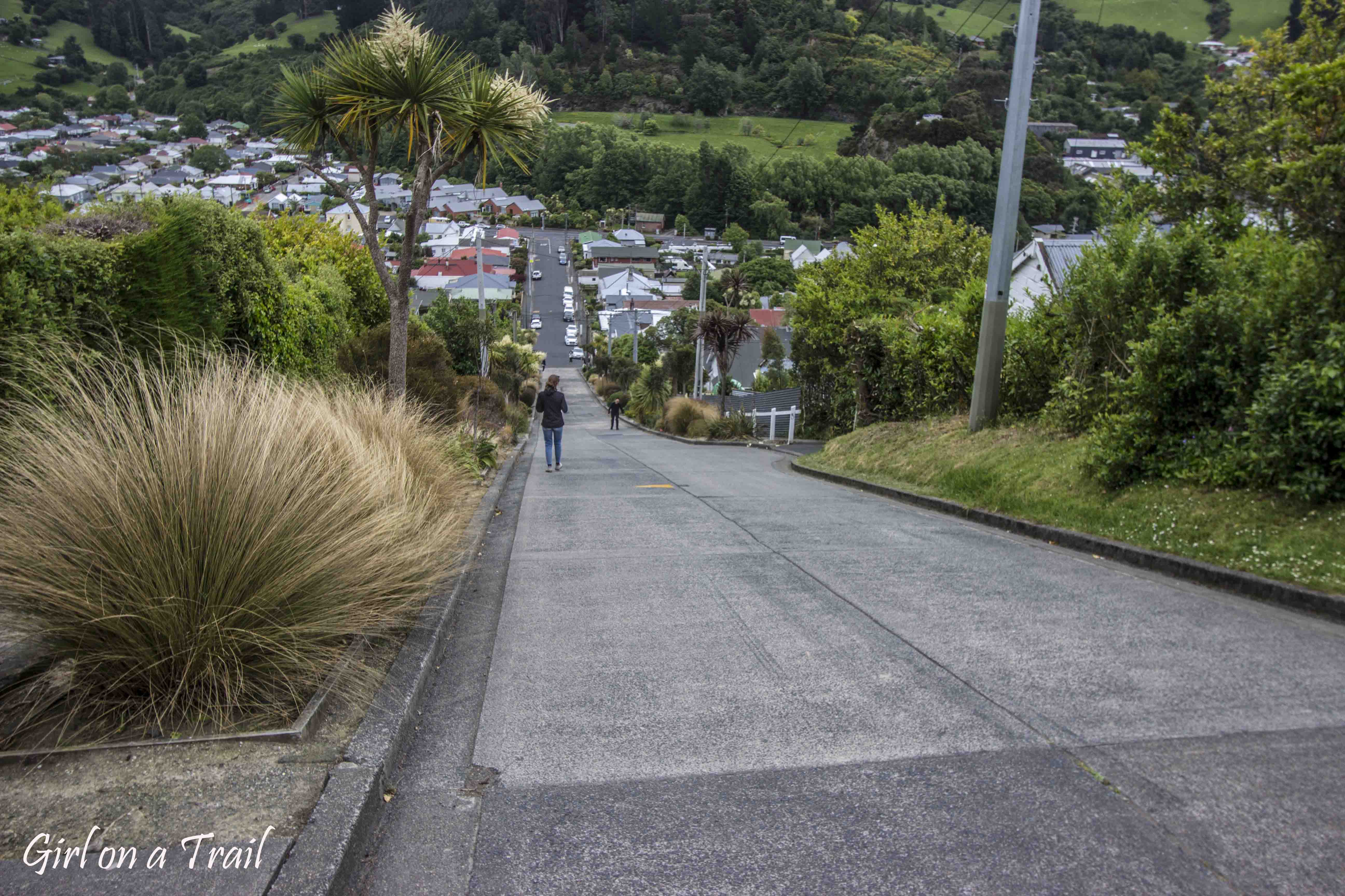 NZ-2025.11.889