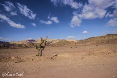 Izrael, Eilat