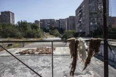 Armenia - Yerevan