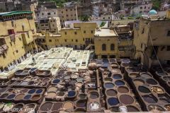 Maroko, Fez - Garbarnia Chouara