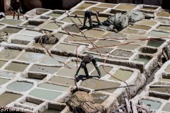 Maroko, Fez - Garbarnia Chouara