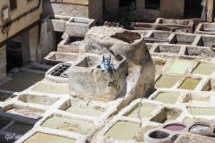 Maroko, Fez - Garbarnia Sidi Moussa