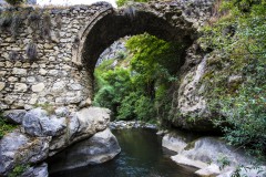 Nagorno - Karabakh