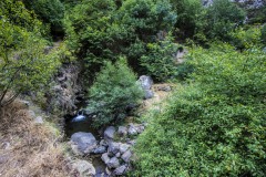 Nagorno - Karabakh