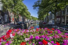 Holandia - Gouda