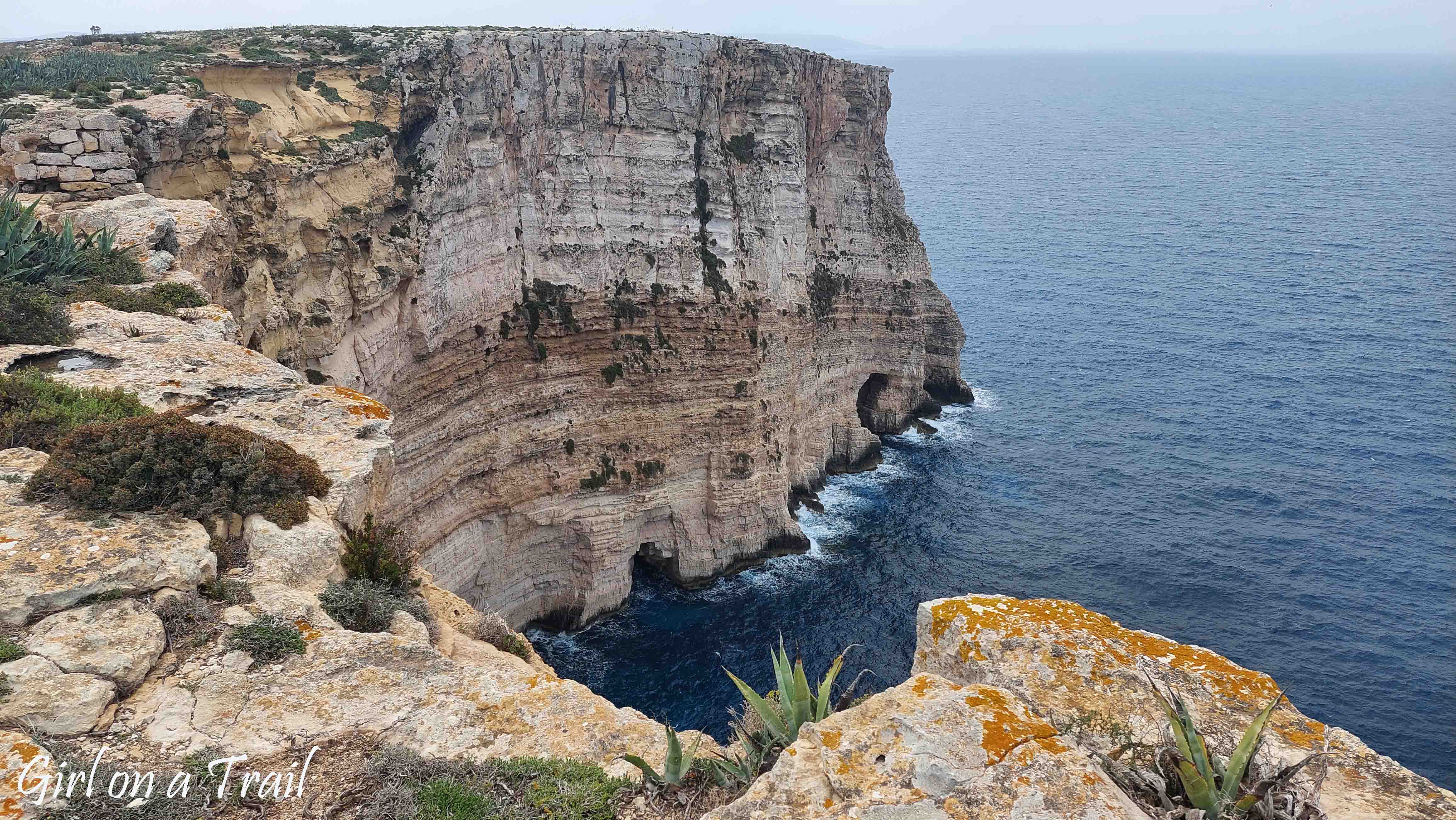 Malta, Gozo - Klify Ta Cenc