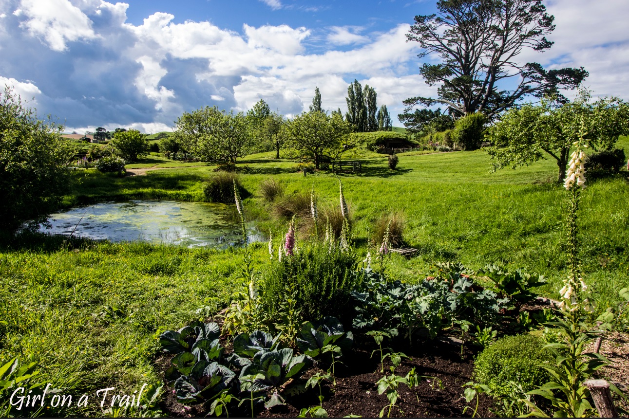 NZ-2025.11.126