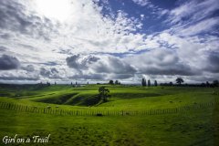 NZ-2025.11.118