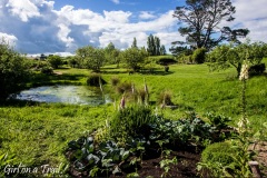 NZ-2025.11.126