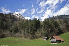 Szwajcaria - Interlaken