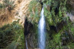 Israel - Ein Gedi