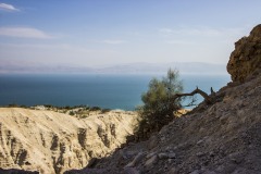 Israel - Ein Gedi