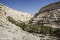 Israel - Ein Avdat