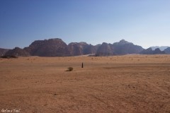 Jordania - Wadi Rum