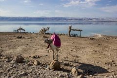 Jordania - Morze Martwe