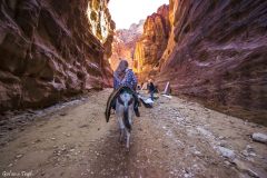 Jordania - Petra