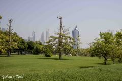 Al Shaheed Park