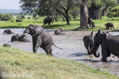 Tanzania-Park Tarangire