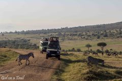 Kenia, zebry