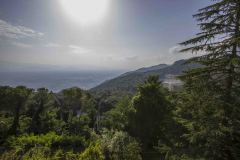 Monte Cassino
