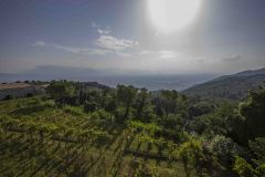 Monte Cassino