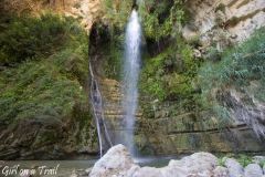 Ein Gedi Nature Reserve